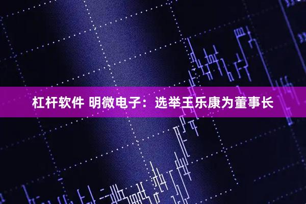 杠杆软件 明微电子：选举王乐康为董事长