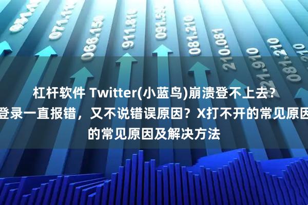 杠杆软件 Twitter(小蓝鸟)崩溃登不上去？为什么推特登录一直报错，又不说错误原因？X打不开的常见原因及解决方法
