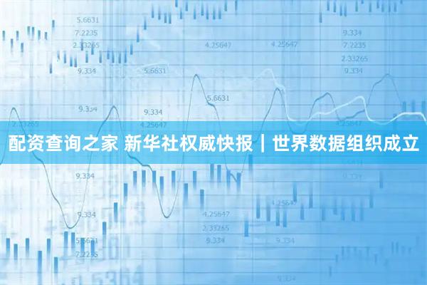 配资查询之家 新华社权威快报｜世界数据组织成立