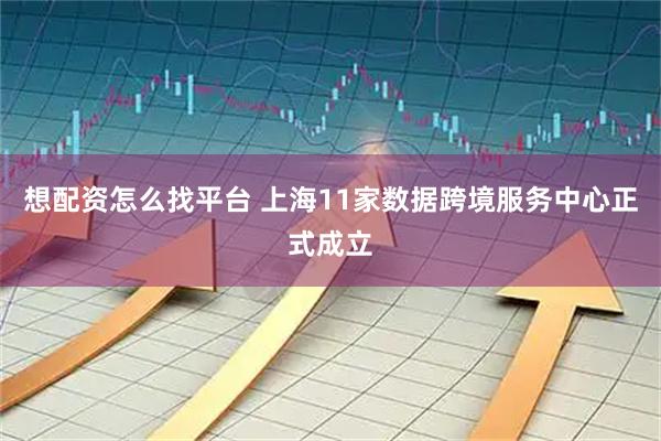 想配资怎么找平台 上海11家数据跨境服务中心正式成立